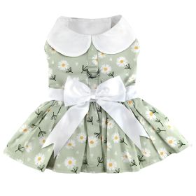 Mint Green Daisy Dog Dress with Matching Leash (size: X-Large)