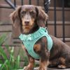 American River Choke Free Dog Harness Polka Dot Collection